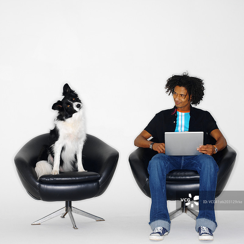 一个人坐在椅子上用笔记本电脑工作，一条牧羊犬坐在他旁边的另一张椅子上图片素材