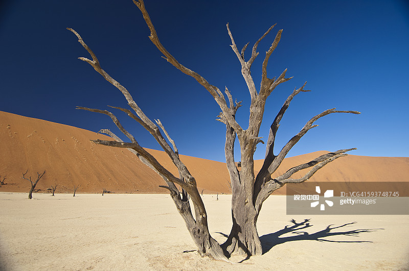 沙丘，索苏斯韦莱，死谷，纳米比亚图片素材