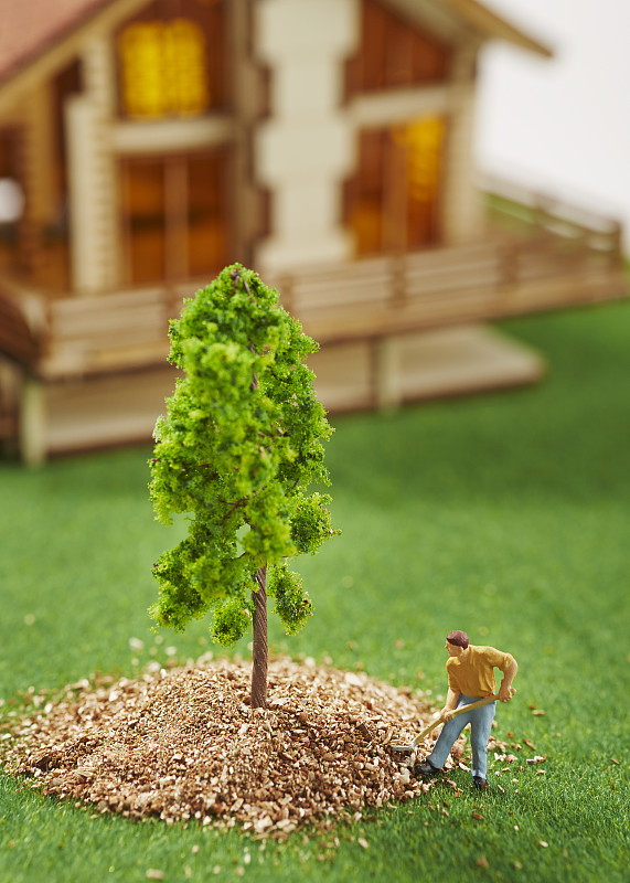 微型木屋和人用铁锹在树周围工作图片下载
