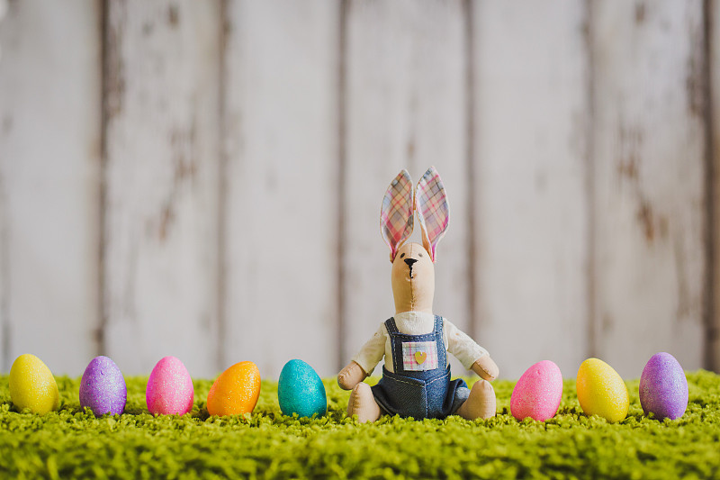 兔子坐在草地上拿着复活节彩蛋图片下载