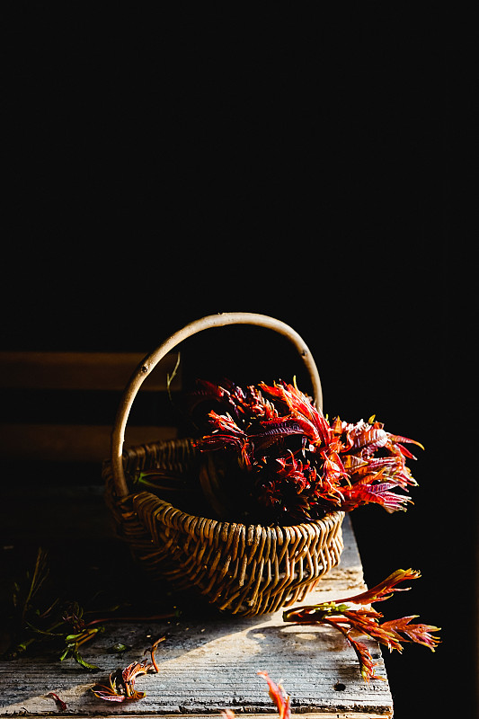 美食静物产品照春天香椿图片素材
