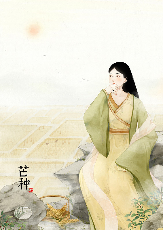 壁纸中国风插画二十四节气芒种 文字版图片