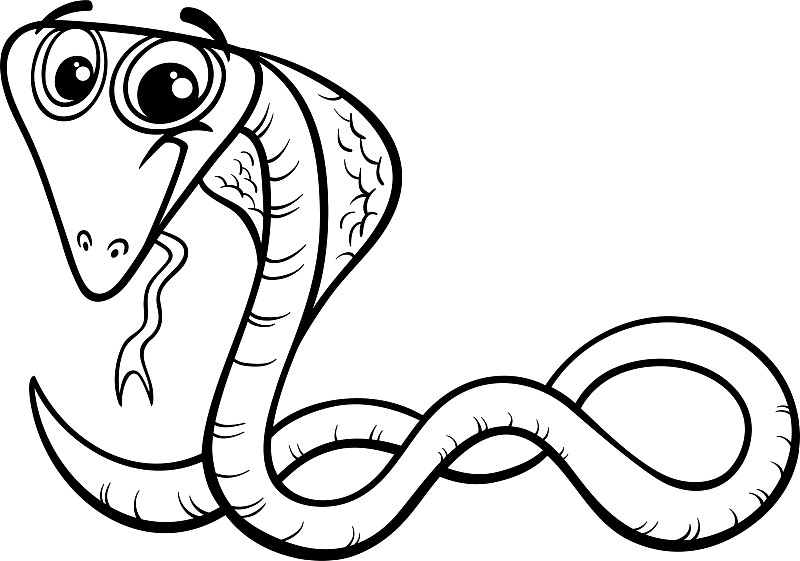爬行动物蛇简笔画图片