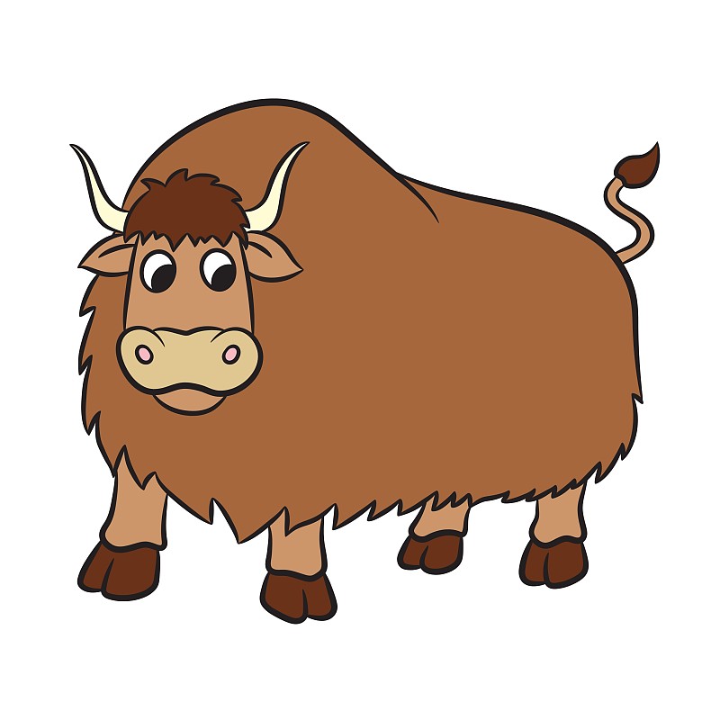 野牦牛头像图片