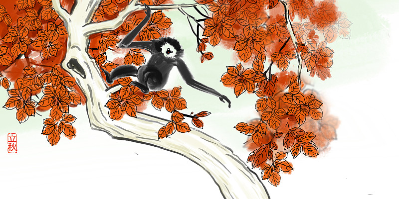 古典水墨画24节气立秋红叶猿猴图片素材