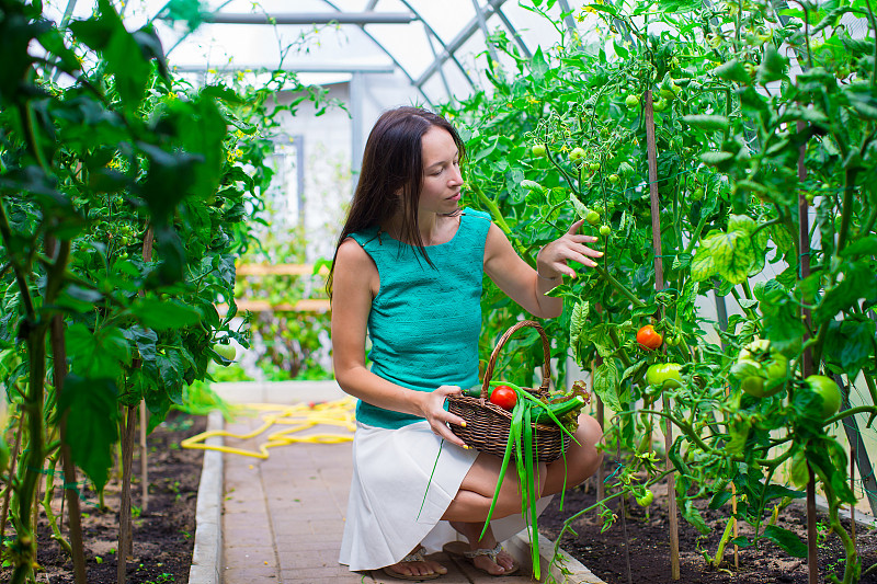 在温室里抱着一篮绿色植物和蔬菜的年轻女子图片素材