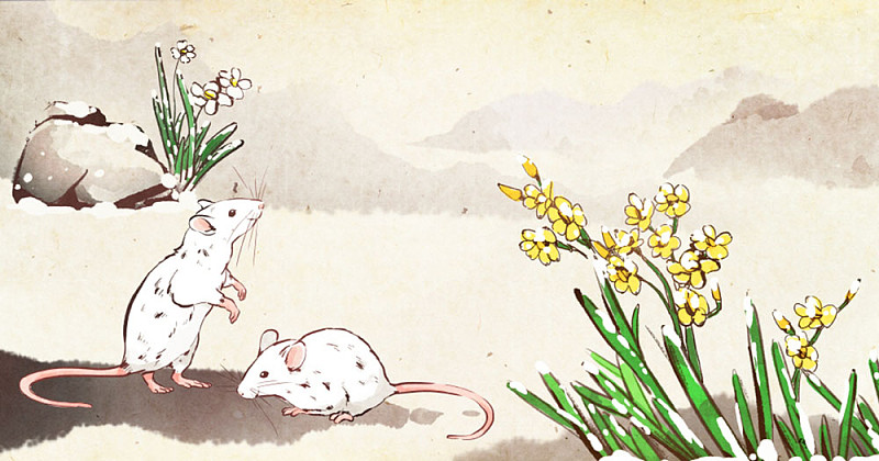 鼠年插画图片
