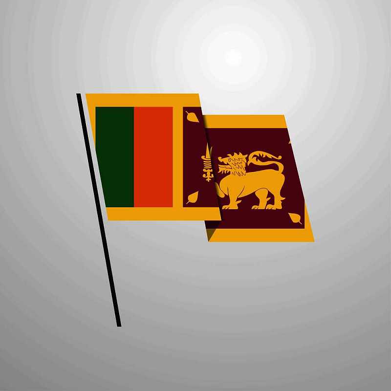 斯里兰卡国旗怎么画图片