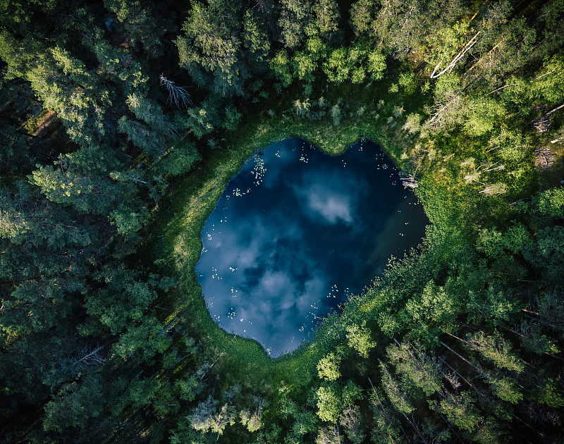 自上而下鸟瞰图的一个小池塘在森林中间，反映在天空的云图片下载