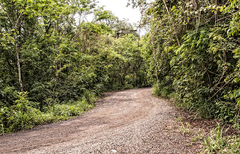 伊瓜苏国家公园的土路图片下载