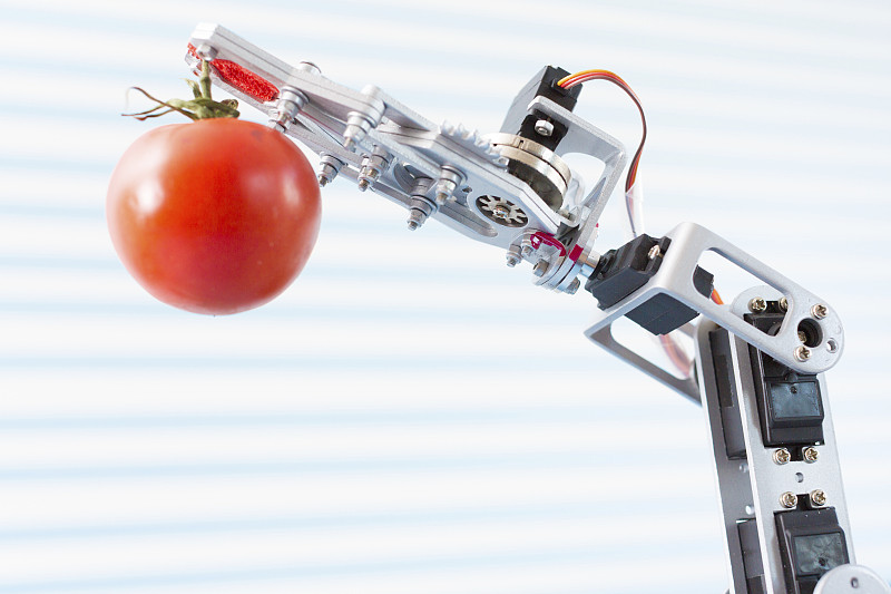 手持番茄的机器人手臂图片下载