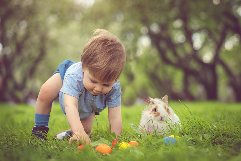 可爱的小男孩玩兔子和复活节彩蛋图片素材
