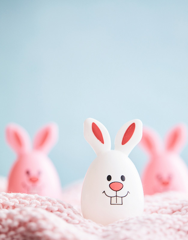 可爱的复活节兔子在粉红色和蓝色的背景图片下载