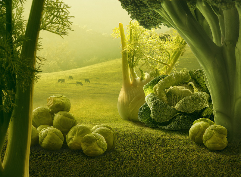 超现实的巨大绿色蔬菜在日落的田野图片下载