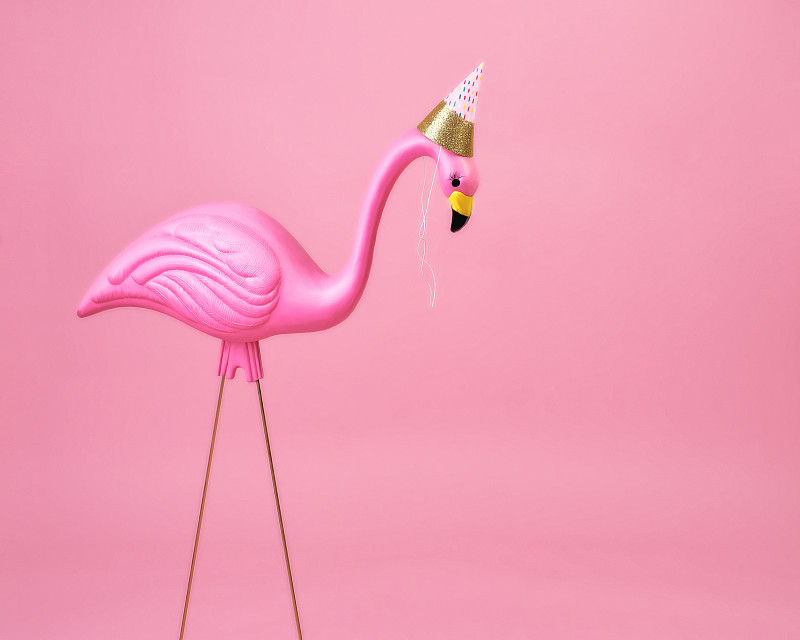 粉红色的火烈鸟戴着派对帽图片下载