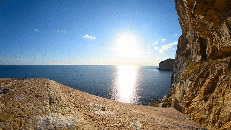 在撒丁岛卡波卡西亚的阳光下，海鸥在海边悬崖附近飞翔图片下载