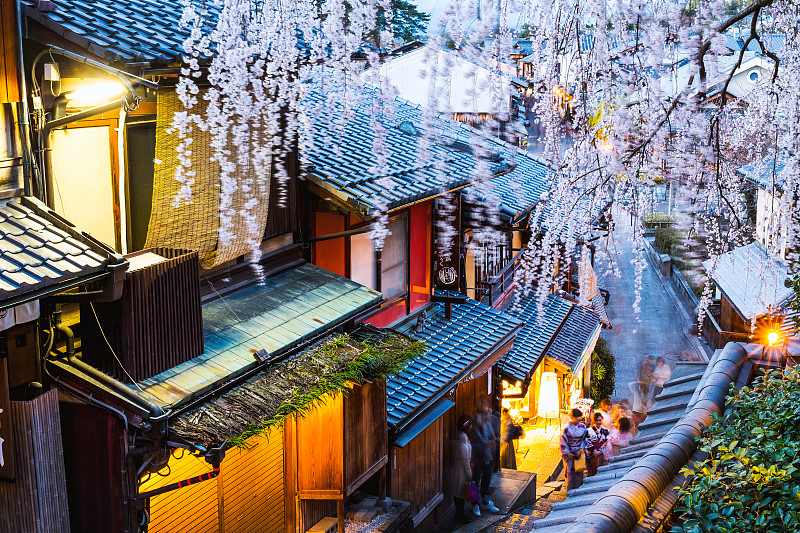 京都传统街道樱花垂樱图片下载