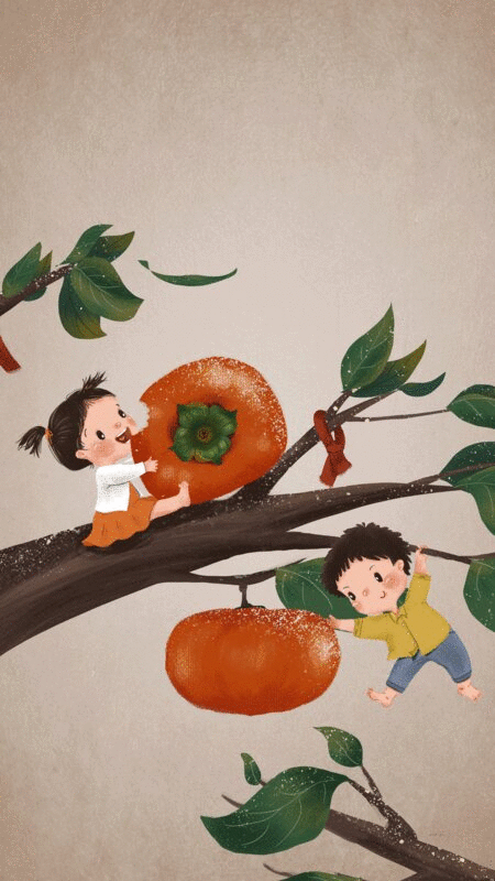 霜降两个孩子在柿子树上玩耍图片下载
