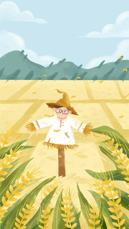 夏季之芒种户外田野上的稻草人图片下载