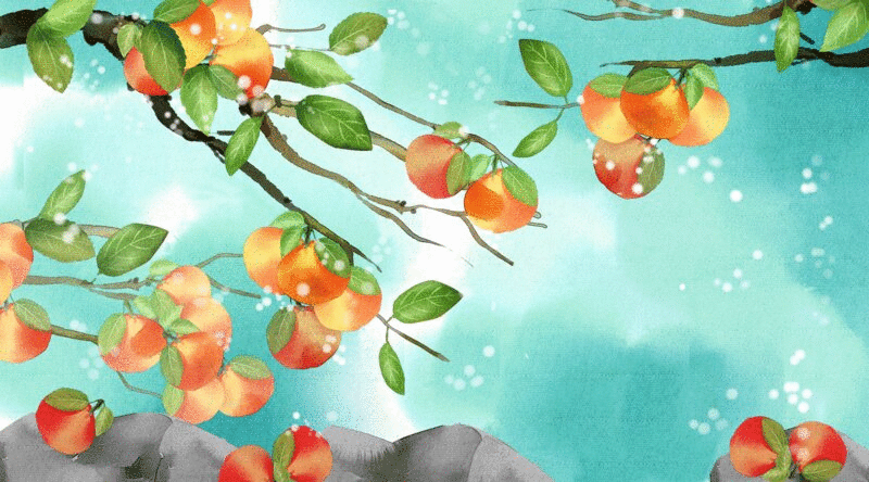水彩风格植物桔子插画动图图片下载