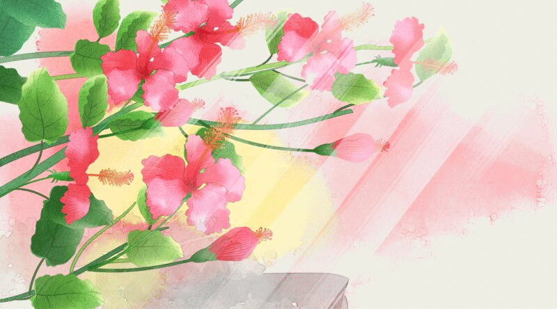 水彩风格植物花卉插画动图插画下载