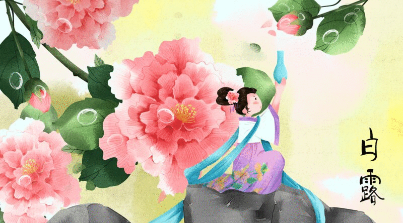 水彩风格古风娃娃与植物二十四节气白露插画动图图片下载