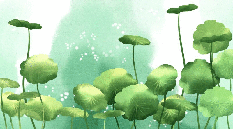 水彩风格植物浮萍插画动图图片下载