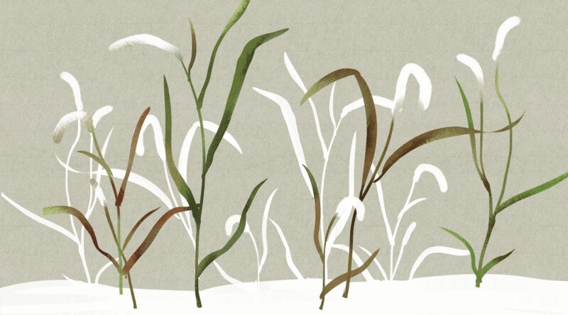 水彩风格植物插画动图图片下载