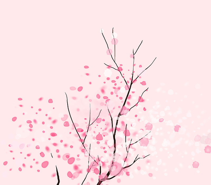 春天绽放的樱花图片素材