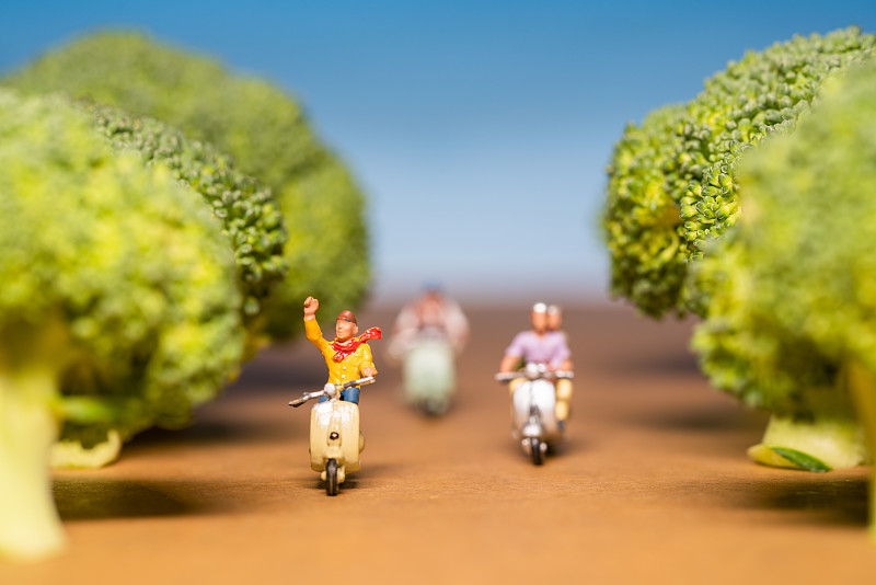 在路上骑摩托车的玩偶模型图片下载