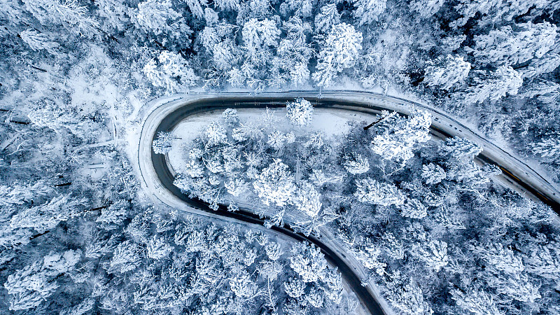 贡嘎山下的林海雪原图片素材