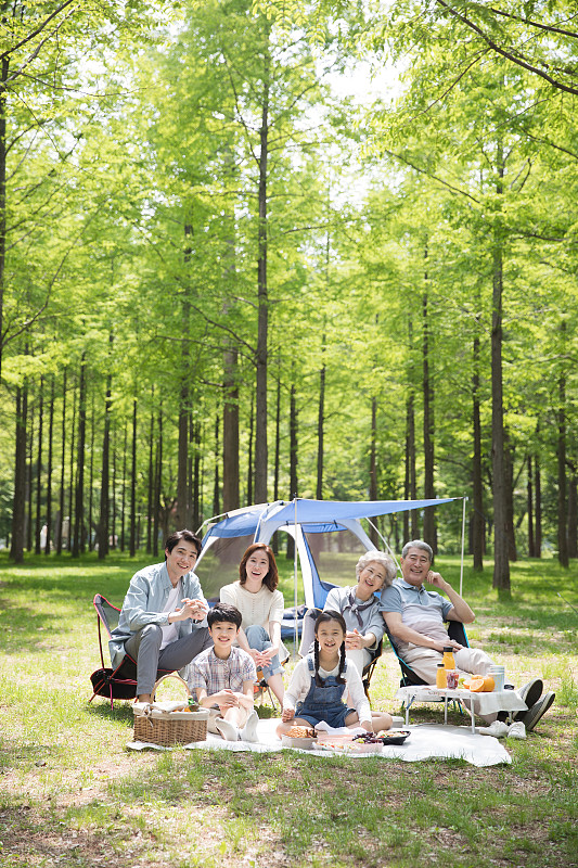 大家族坐在森林帐篷前露营的照片摄影图片下载