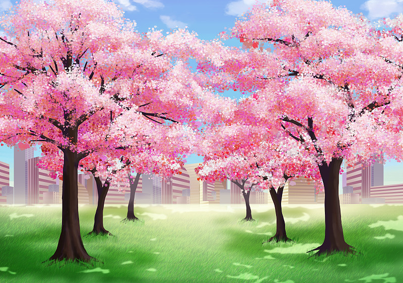 卡通樱花树图画图片