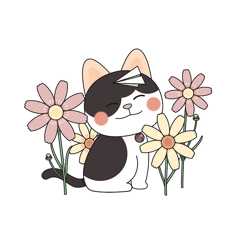 十二月猫与花之波斯菊图片下载