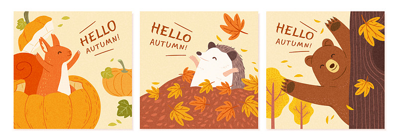 欢迎秋天动物海报图片下载