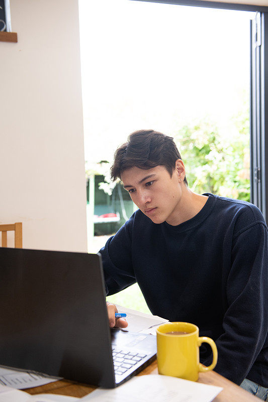 一个十几岁的男孩一边看电脑一边做作业图片素材