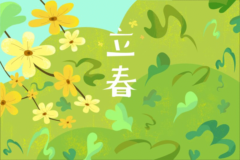 迎春花蝴蝶草丛二十四节气立春插画图片下载