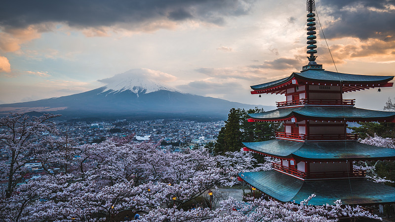 富士，樱花，神社图片下载