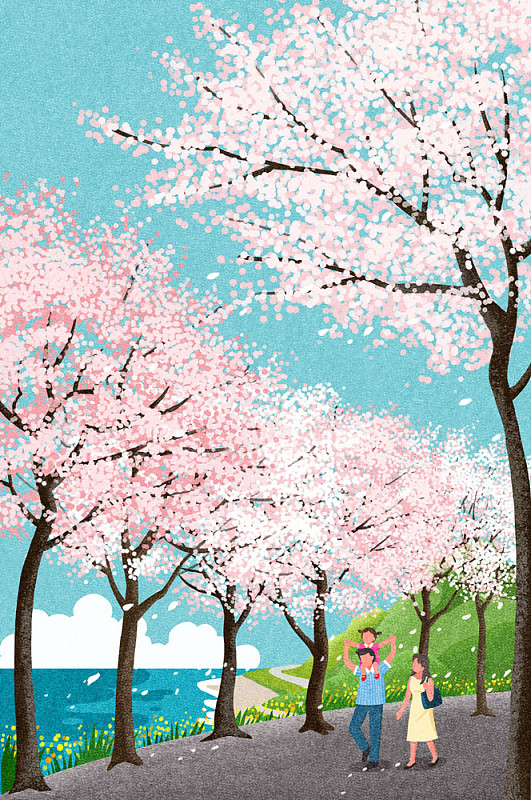 一家人在樱花树下散步，男子扛着女孩图片素材