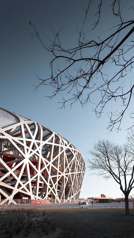 北京奥林匹克公园的鸟巢建筑摄影树枝与鸟巢图片下载