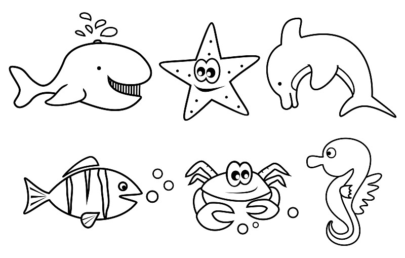 海洋动物绘画画法图片