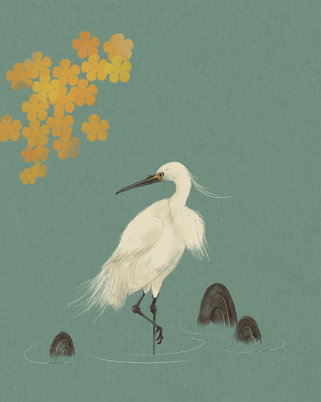 秋天水中的白鹭装饰插画图片