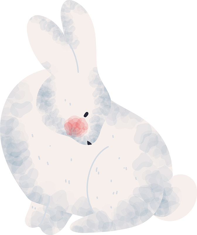 兔子冬季动物图片下载