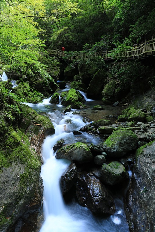 林间溪流穿石景观图片下载