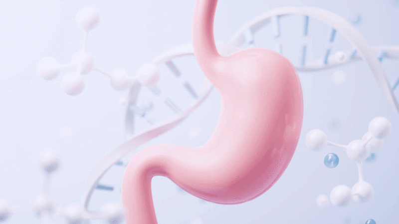 胃与生物科技背景3D渲染图片下载