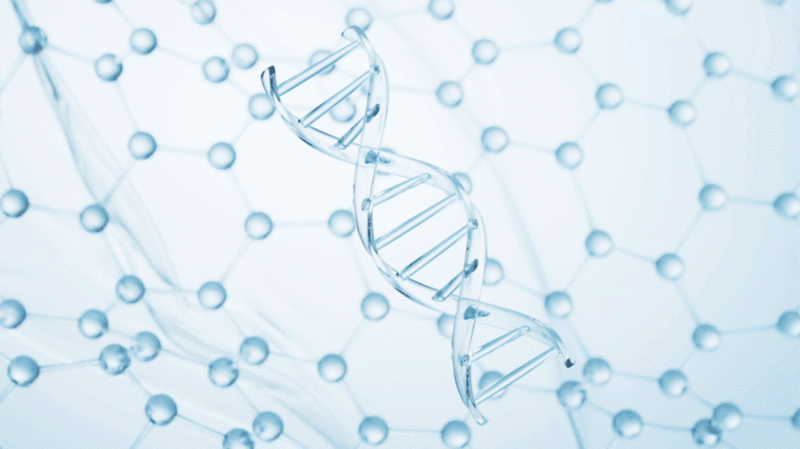 透明生物科技DNA结构3D渲染图片下载