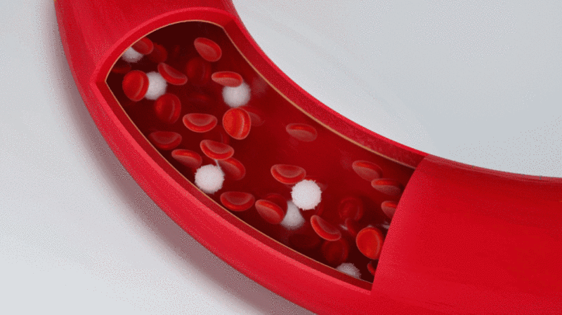 血管内流动的红细胞与白细胞3D渲染插画下载