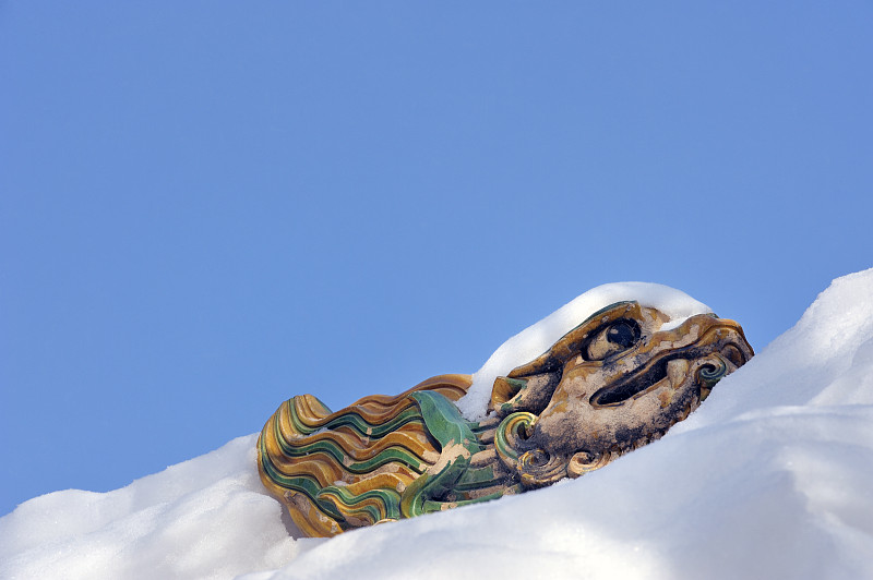 冬天屋顶上的陶瓷龙图片下载