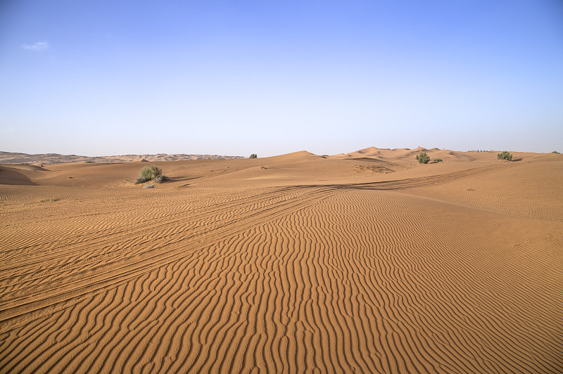 杜拜,阿拉伯联合大公国,亚洲,沙漠冲沙,图片下载