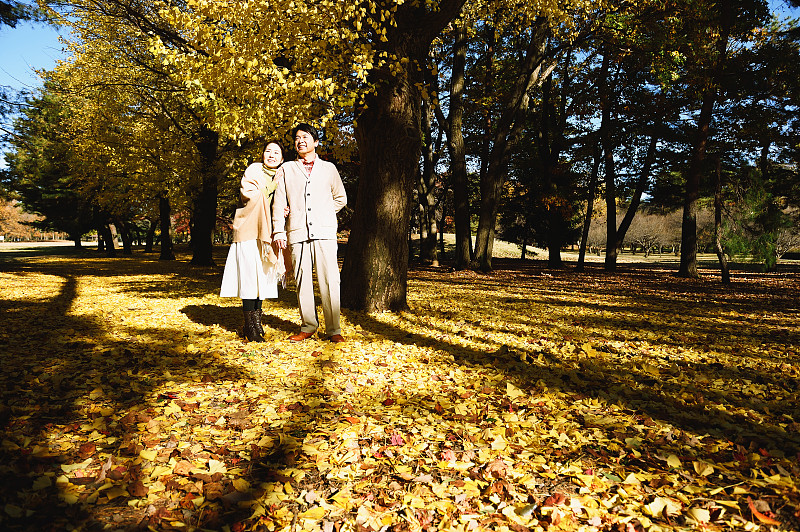 秋天，一对日本老年夫妇在城市公园里图片下载